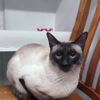 Photo of George 