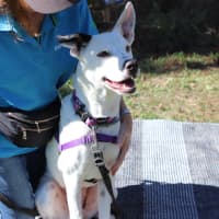 Photo of Penny