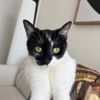 Photo of Lily