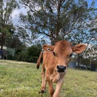 Photo of Austin And Elvis