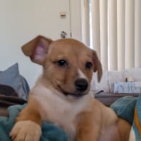 Photo of Eggsy