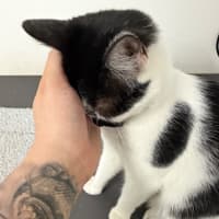 Photo of Hamish