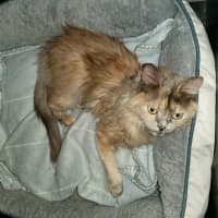 Photo of Bubbles