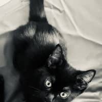 Photo of 🥰 Davis 🥰