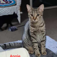 Photo of Annie