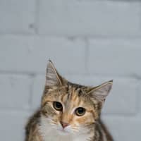 Photo of Jessie