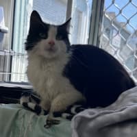 Photo of Bobbit