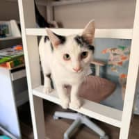 Photo of Sunny 