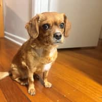 Photo of Toby Quinnell