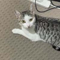 Photo of Keeva