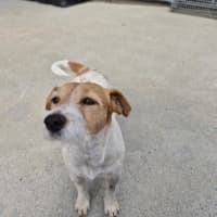 Photo of Aggie! 🌻