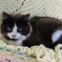 Photo of Lorna