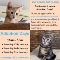 Photo of Meowly**2nd Chance Cat Rescue **