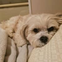 Photo of Molly Quinnell