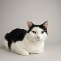 Photo of Winnie