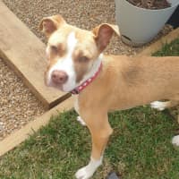 Photo of Ellie Valenti