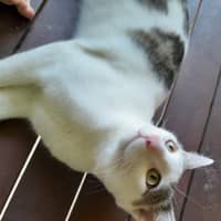 Photo of Mr Waffleton 