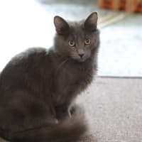 Photo of Storm