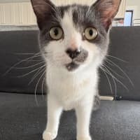 Photo of Benson