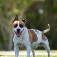 Photo of Monty