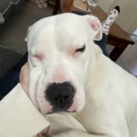 Photo of Sheila