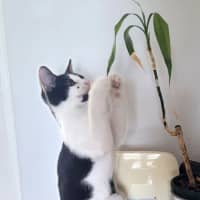 Photo of Manny And Munro