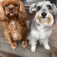 Photo of Toast And Nanna