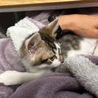 Photo of Ben And Jerry