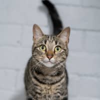 Photo of Tara