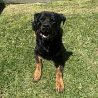 Photo of Axel