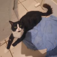 Photo of Cassandra