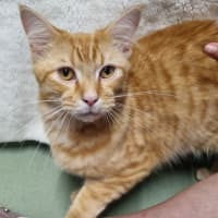 Photo of Butterball