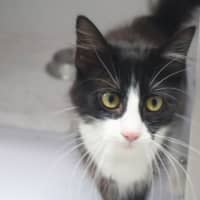 Photo of Tina