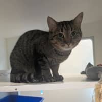 Photo of Bonnie