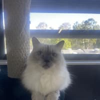 Photo of Nami