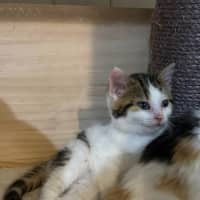 Photo of Little Leah