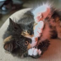 Photo of Ella & Nina 🌷🌷