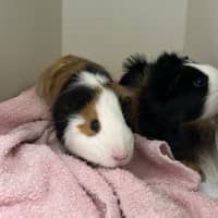 Photo of Butter & Toast