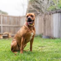 Photo of Skye Peggotty