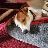 Photo of Jacky Chan Peggotty