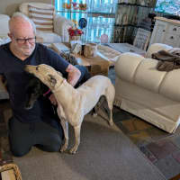 Photo of Blonde.  Nee Sharni 