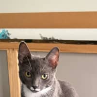 Photo of Lilly