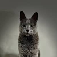 Photo of Jasper