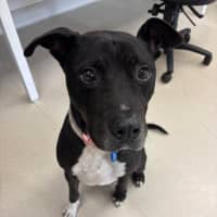 Photo of Denzel Woofington