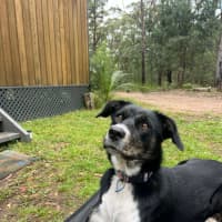 Photo of Torva