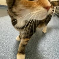Photo of Dorothy