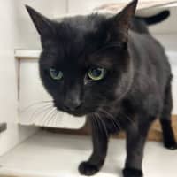 Photo of Frasier