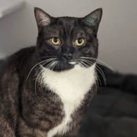 Photo of Arlo