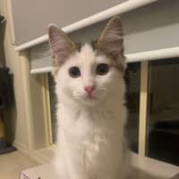 Photo of Bonnie 