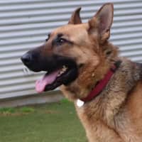 Photo of Agatha